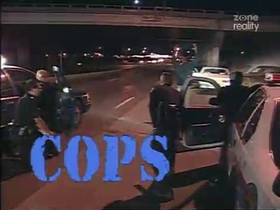 Cops S08E29