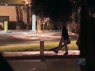Cops S15E06