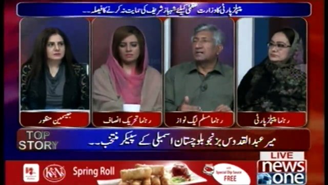 PPP Kay Shehbaz Sharif Ki Himayat Na Karnay Say Faida Noon League Ko Hi Go... Moin Watto