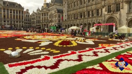 Brussels celebrates Mexico with 500,000 flowers | GTV News