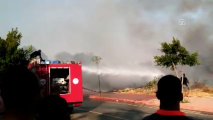 Kuru ot yangını - ANTALYA