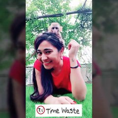 up down plank challenge song musically compilation 2018