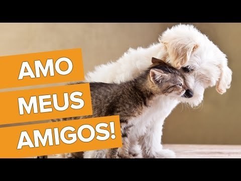 Amo meus amigos! Para sempre comigo!