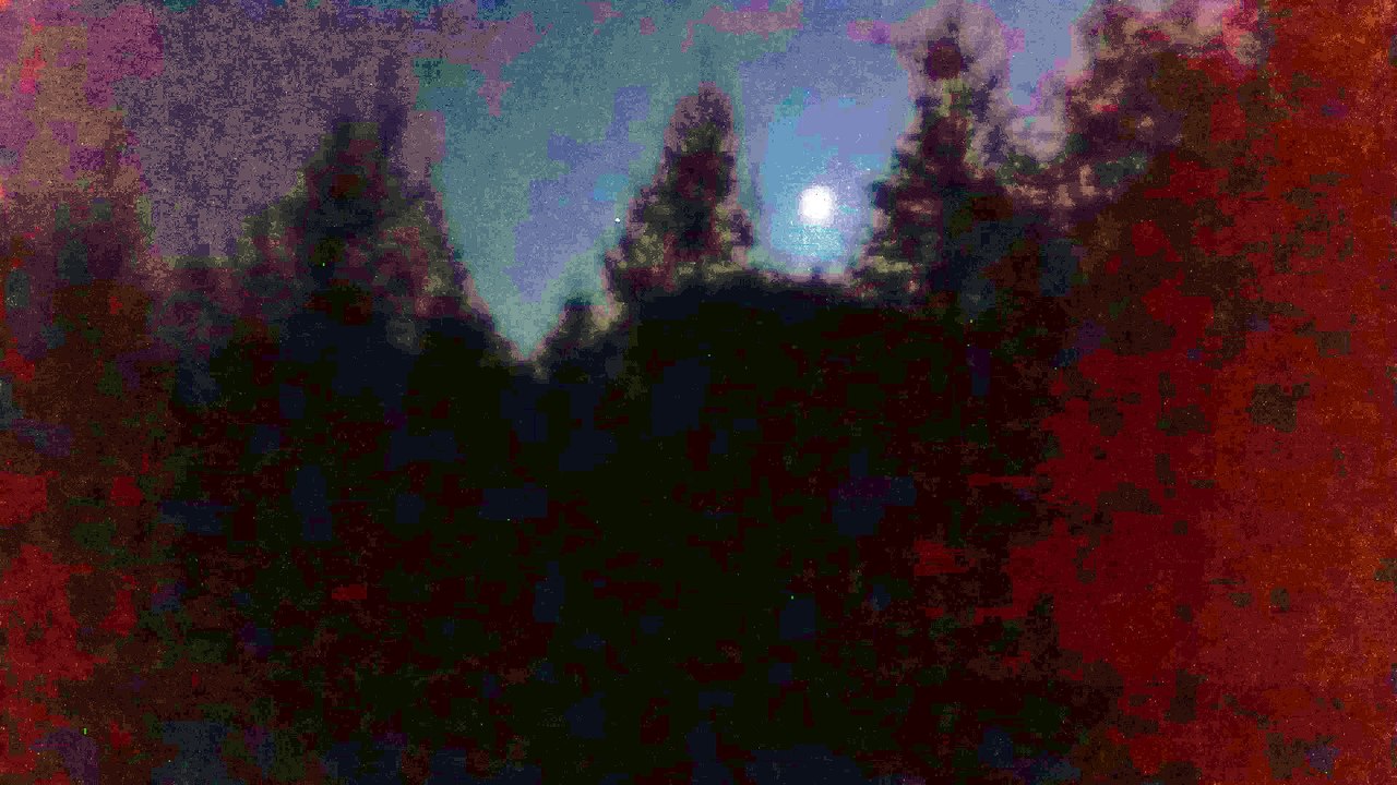 Heimweg vom Hochsitz im nächtlichen Wald