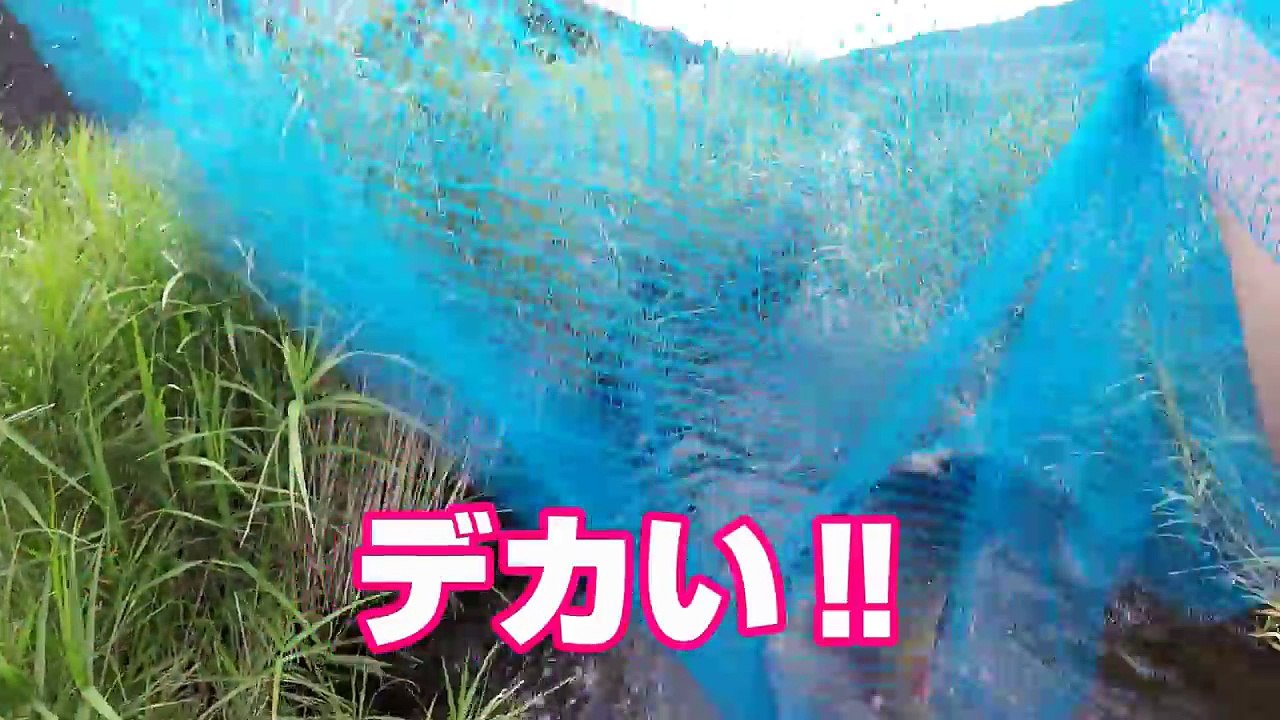 【神回・超ファインプレー】奇跡が起こった‼