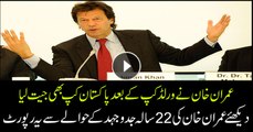 Watch special report on Imran Khan's 22 years non-stop struggle