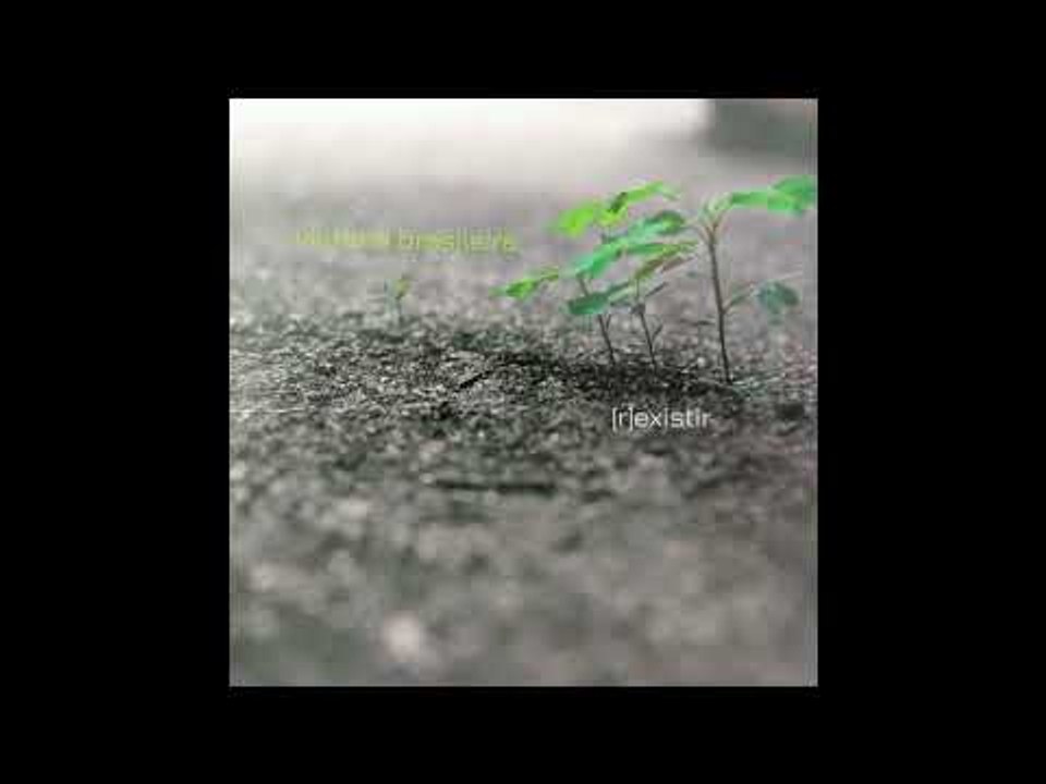 Vintena Brasileira - Cordoba