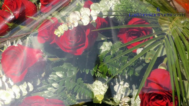 Víctimas del terrorismo critican que 'Ada Colau nos ha excluido en el acto oficial del 17-A'