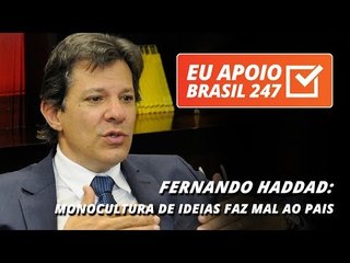 Fernando Haddad apoia o 247