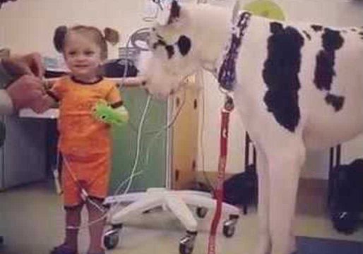 ‘He Likes the Bubbles!’ – Great Dane Plays With Little Girl in Hospital