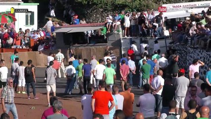 Tourada,Vila de São Sebastião Gaspar Baldaia 29 Julho 2017 AÇORES