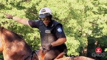 Horse Ride Gone Wrong - Just For Laughs Gags