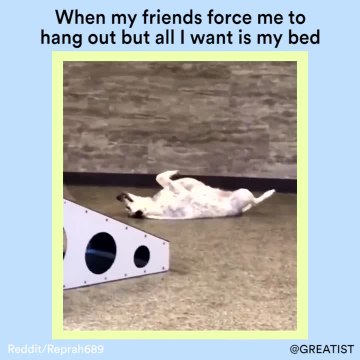 When my friends force me to hang out but all I want is my bed
