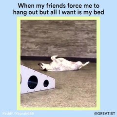 When my friends force me to hang out but all I want is my bed