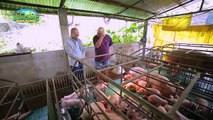 Alagang Magaling S10 Ep4 - Porkchamp Rnn Farm
