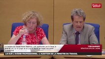 Avenir professionnel : Audition de Muriel Pénicaud   Séance Avenir professionnel - Les matins du Sénat (08/08/2018)