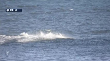 Adrénaline - Surf : Connor O'Leary with an 8.17 Wave vs. J.Flores, I.Ferreira