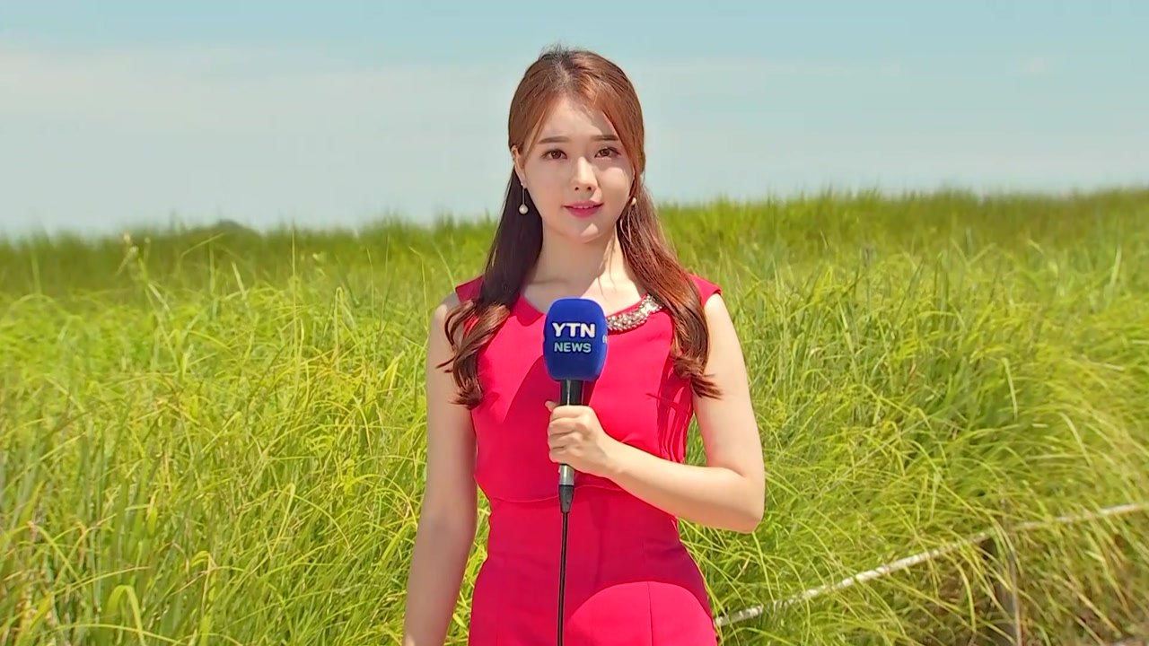 [날씨] 한풀 꺾인 폭염, 서울 31.2..℃...하늘은 쾌청 / YTN
