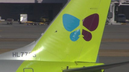 진에어 면허취소 안 해..."고용 불안 고려" / YTN