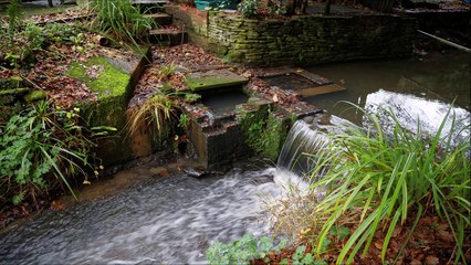 휴식, 진정, 자고, 집중, 연구, 비, 낙뢰, 천둥, 바람, 폭포, 강물, 소나기, 높은 음질 - 30 분 동안의 자연적인 백색 소음