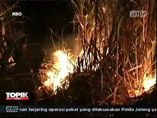 Ladang Tebu Terbakar, Warga Permukiman Resah