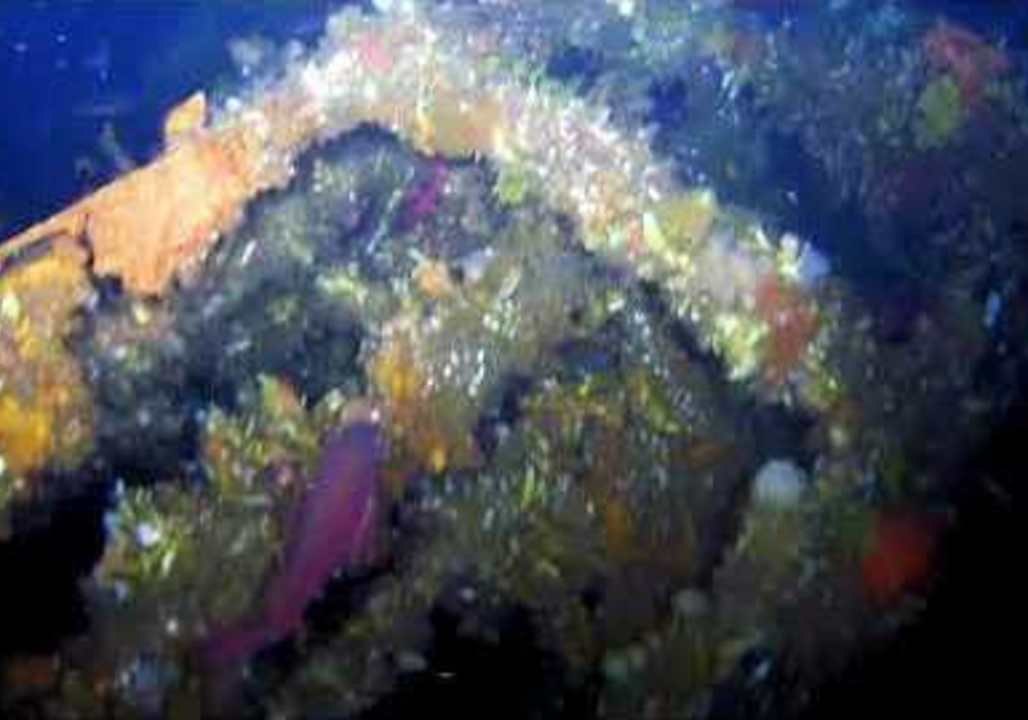 Part of WWII US Destroyer, Sunk Off Alaska, Discovered After Nearly 75 Years