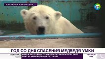 モスクワ動物園ヴォロコラムスク附属保護施設のアヤーナの近況(Aug.16_2018)