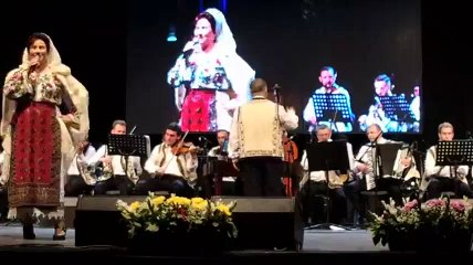 Gheorghita Nicolae - Spectacol Brasov 2017