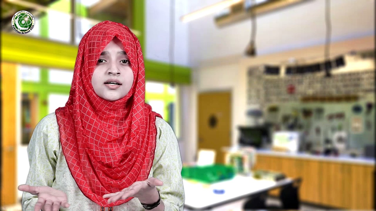 Google science journal app review urdu