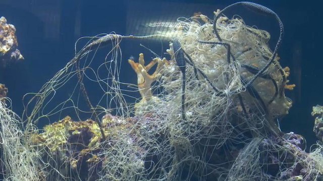 Самые грязные реки планеты