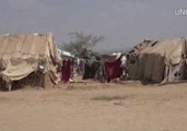 UNHCR Builds Shelters for Thousands of Yemenis Displaced by War