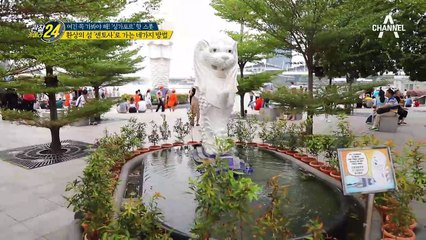 싱가포르 본섬에서 센토사 섬 가는 네가지 방법! #꿀팁