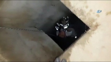 Kanala düşen yavru kedi böyle kurtarıldı