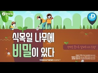 식목일에 편백나무 많이 심는데, 문제 없는걸까