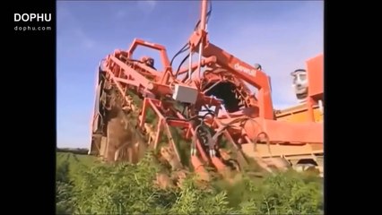 Les machines les plus étonnantes du monde en service VOL 2 chasse-neige