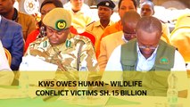 KWS owes human-wildlife conflict victims sh15 billion