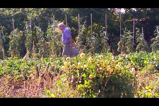 Camping-Chambres d'hôte Les Rivières-Civens-ReportageCorineOulion-LeProgres