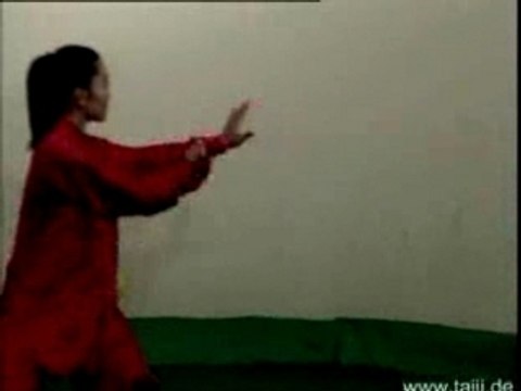 Wushu - Shaolin Kung-Fu - Tai-Chi Quan - 48-Form