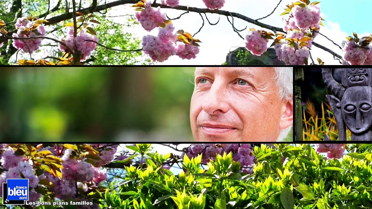 Pairi Daiza  :  le parc animalier en Belgique