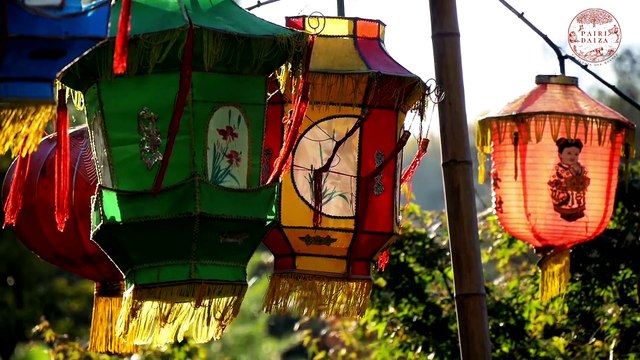 Pairi Daiza : le parc animalier de Belgique