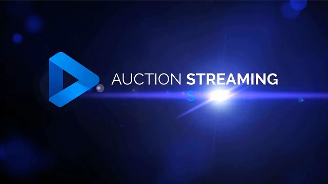 Auto Auction Software - Integrated Onboard Diagnostics Error Reporting