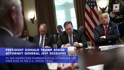 Trump Calls for Federal Lawsuit Against Opioid Companies
