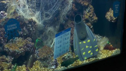 Aquário de plásticos alerta para contaminação dos mares