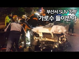 부산서 SUV 차량 중앙분리대용 가로수 들이받아…2명 사상 / 연합뉴스 (Yonhapnews)