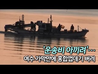 '운송비 아끼려'…여수 가막만에 홍합껍데기 버린 선장 3명 입건 / 연합뉴스 (Yonhapnews)