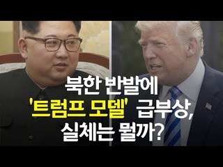 '트럼프식 비핵화'는 북한 맞춤형 모델? / 연합뉴스 (Yonhapnews)