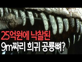 [현장] 길이 9ｍ…25억원에 팔린 공룡뼈 어떻게 생겼나 / 연합뉴스 (Yonhapnews)