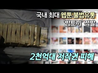 국내 최대 웹툰 불법유통 '밤토끼' 적발…2천억대 저작권 피해  / 연합뉴스 (Yonhapnews)