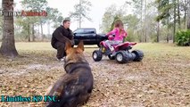 Dogs Protecting Their Owners - Dogs that are better than guns! [ Dog Training ]