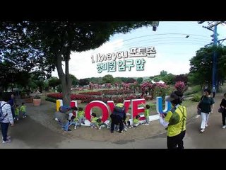 [현장] 서울대공원 장미 축제...촬영 명당을 찾아라! / 연합뉴스 (Yonhapnews)